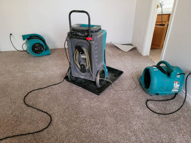 Water damage restoration mold remediation in Eastpointe, MI