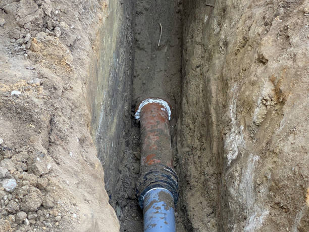 Best Flood restoration services  in Eastpointe, MI
