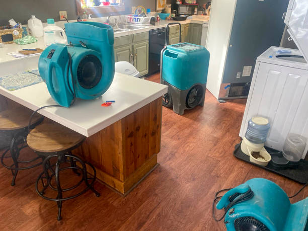 Best Ceiling water damage repair  in Eastpointe, MI