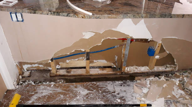 Best Residential water damage restoration  in Eastpointe, MI